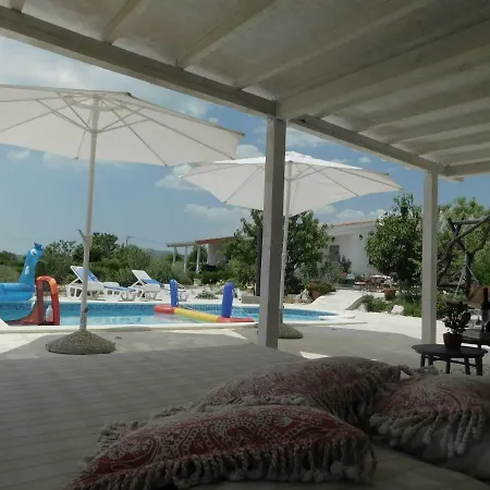 فيلة This Is Life-ranch